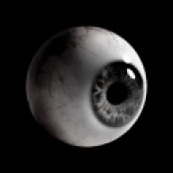 Bone