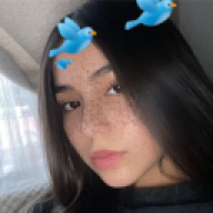 Lizetdhl