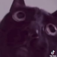 ythrgewfdsa