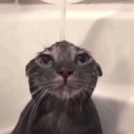 ImFloaty