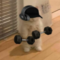 ThePoenixYT